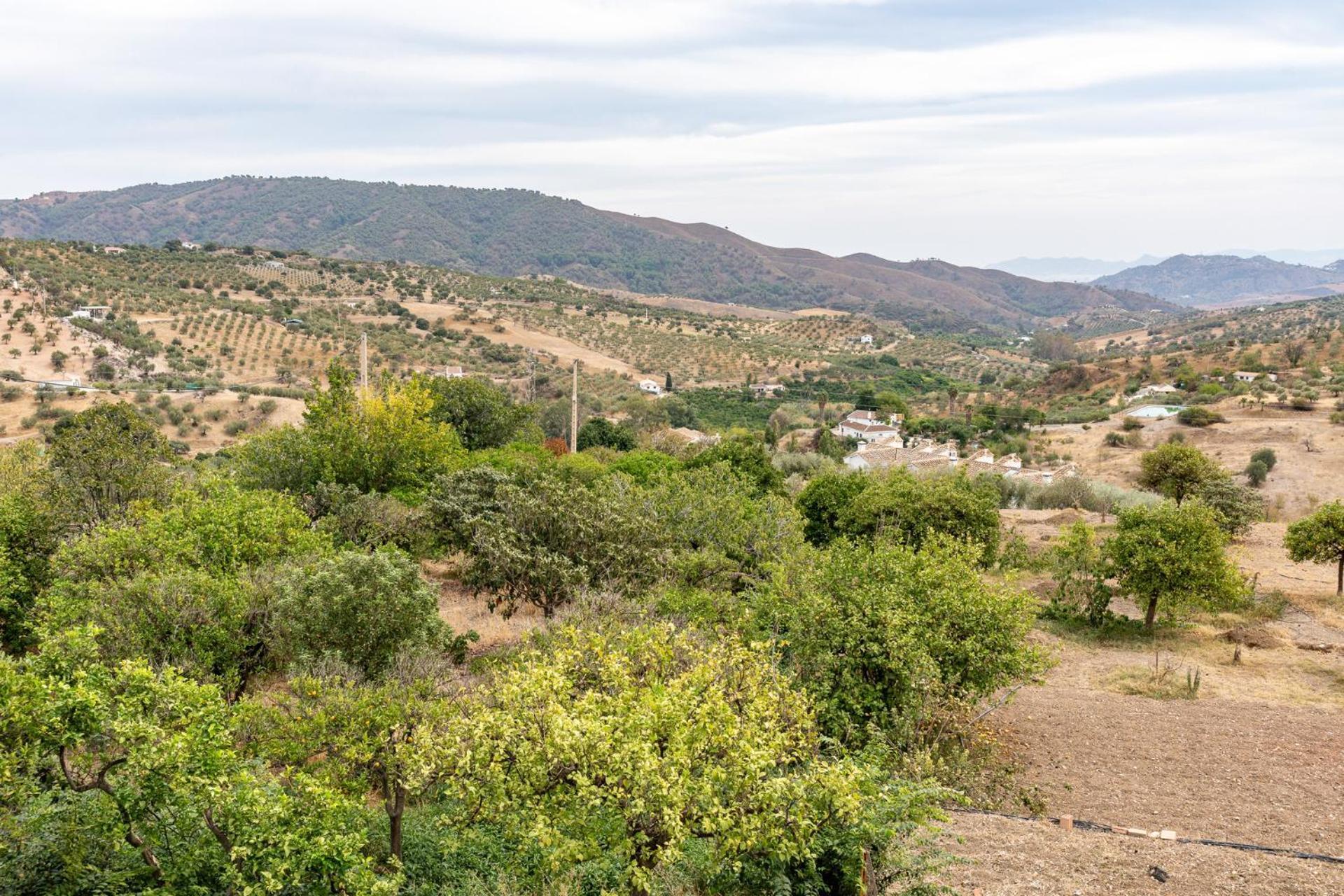 Malagasuite Cortijo Robles Casarabonela Luaran gambar
